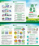 国际禁毒日三折页