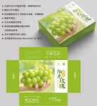 阳光玫瑰 葡萄包装
