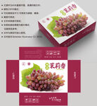 茉莉香葡萄 提子包装