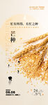 芒种图片