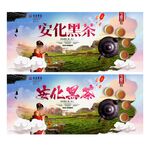 安化黑茶