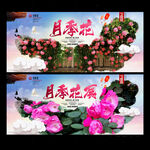 月季花