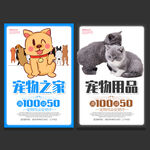 宠物