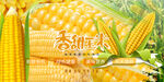 生玉米