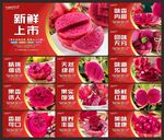 火龙果