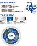 大健康