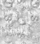 字母