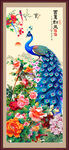 国画孔雀