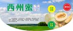 西周密瓜