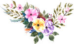 花朵花卉