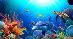 海底世界