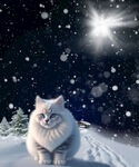 雪地猫