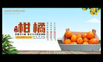 柑橘
