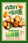 野生菌广告  