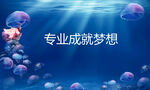 海