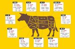 最好吃的牛肉部位  牛肉分布图