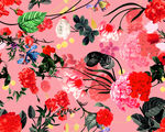 玫瑰花