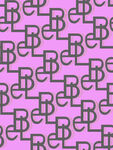 网红字母B
