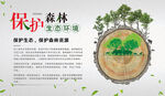 保护森林生态环境
