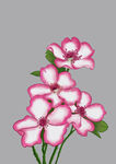 花卉插画