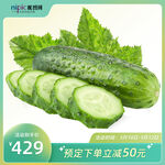 夏季蔬菜水果黄瓜主图