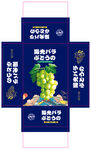 晴王阳光玫瑰葡萄平面展开图