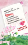 国风企业客户生日祝福6月粉荷版