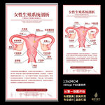 私密海报 女性保养 子宫