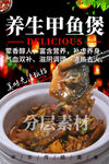 养生甲鱼煲