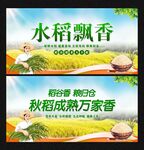 水稻