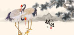 白鹤 