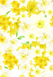 小花