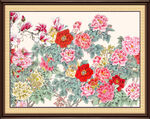 富贵花开 