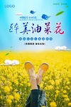 油菜花