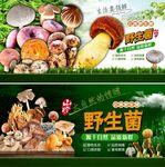 野生菌广告