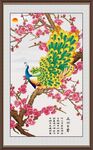 孔雀图