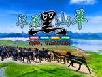 黑山羊