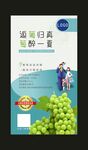 亲子户外葡萄采摘