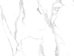 新传 爵士白高清画 TIf合层