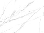 新传 最新鱼肚白纹 TIF合层