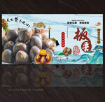 板栗展板