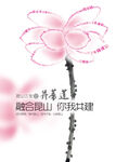 并蒂莲