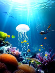 海底世界水母