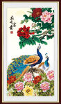 牡丹花