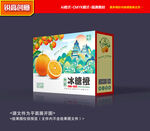 橙子包装 沃柑礼盒