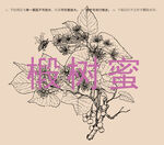 椴树花蜜