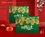 柿饼包装 柿子礼盒