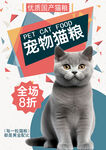 猫粮宣传海报