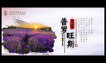 普罗旺斯