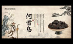 何首乌